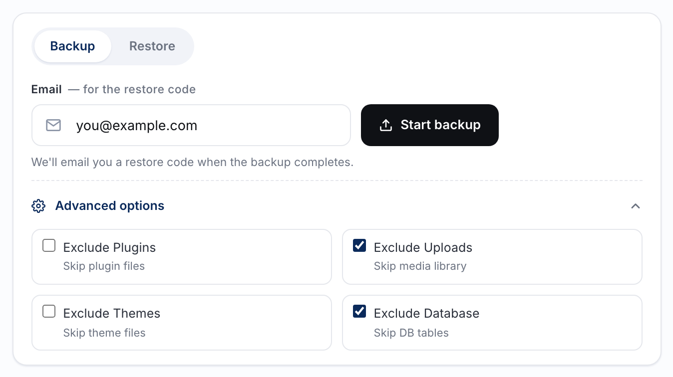 Advanced options with Exclude Uploads and Exclude Database ticked, so only themes and plugins are backed up